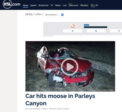 Car Hits Moose on Parley’s Canyon – Driver Nearly Killed